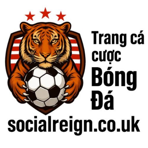 Trang cá cược bóng đá Reign
